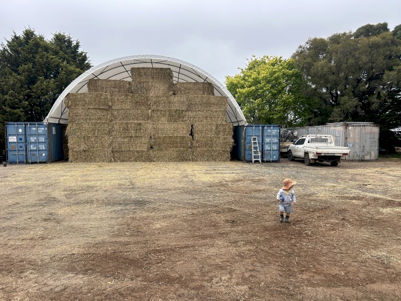 500mt Barley Hay 8x4x3 Bales