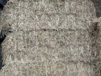 500mt Barley Hay 8x4x3 Bales