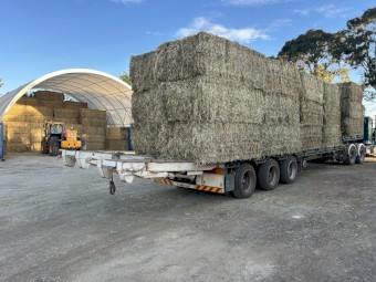 500mt Barley Hay 8x4x3 Bales