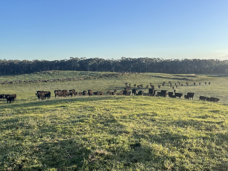 WANTED Lease Land Western VIC
