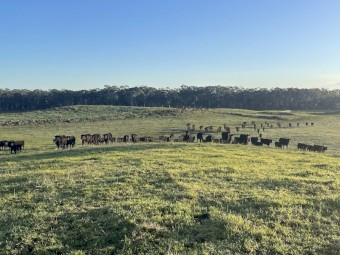 WANTED Lease Land Western VIC