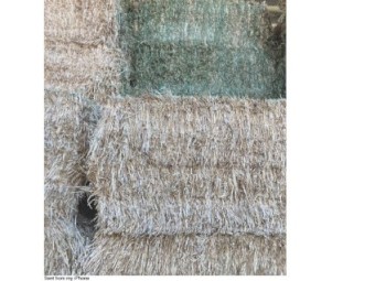 100mt Oaten Hay 600kg 8x4x3 Bales