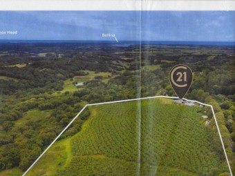 Ex Banana Farmland for Agistment