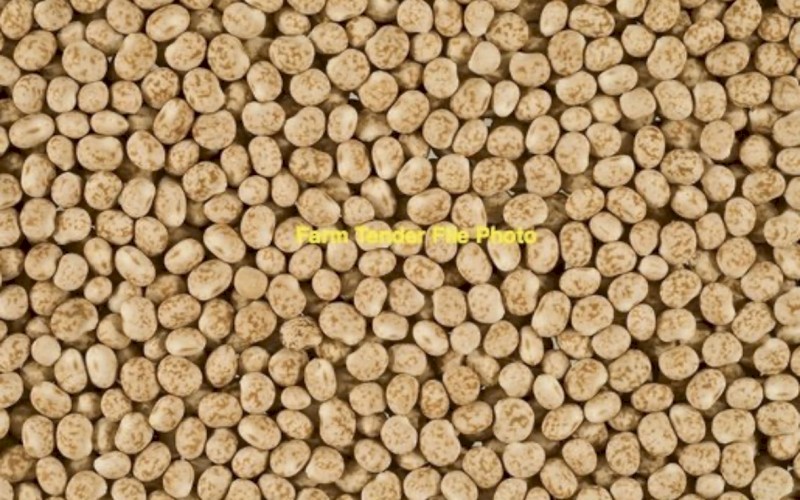 120mt Jurien Lupins