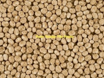 120mt Jurien Lupins