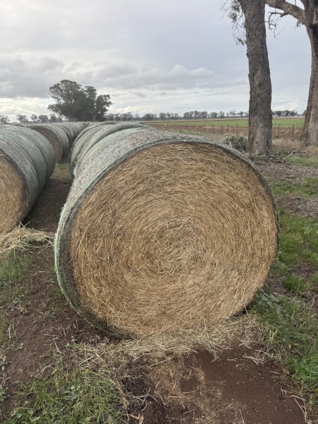 200 x Clover and Rye 5x4 Rolls