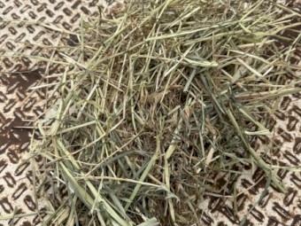 200 x Clover and Rye 5x4 Rolls