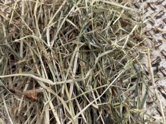 200 x Clover and Rye 5x4 Rolls