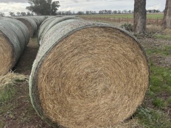 200 x Clover and Rye 5x4 Rolls