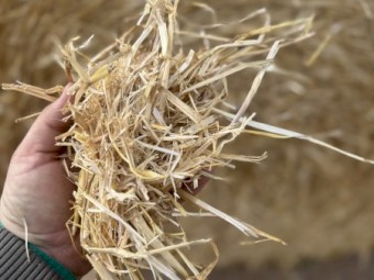 65 x Barley Straw 5x4 Rolls