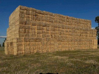 Barley Straw 8x4x3 Bales