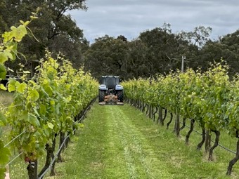 2012 Fischer GL4K/60-230 Undervine Mower