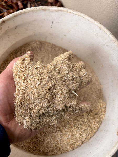 Barley Screenings Available - 15t per week 