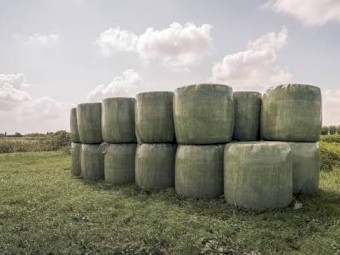 90x Beardless Barley/Field Pea Silage Wrapped 4x4 Rolls