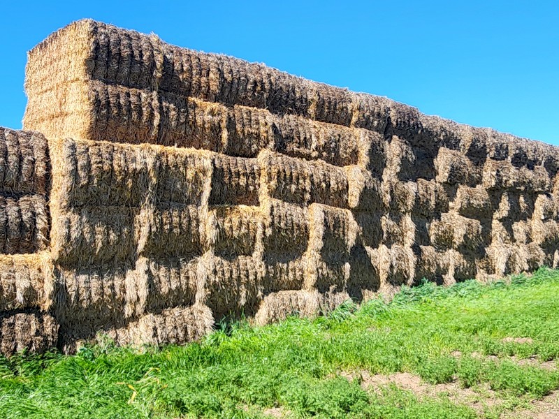 120mt Oaten Hay 600-640kg 8x4x3 bales