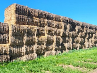 240mt Oaten Hay 600-640kg 8x4x3 Bales