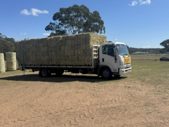Premium 300 bales Lucerne-Beardless Barley Hay - touch of  Rhodes