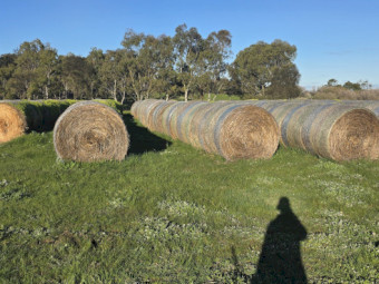 Oaten Hay 5x4 bales x 400