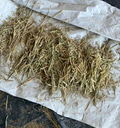 200mt Wheaten Hay 8x4x3 Bales