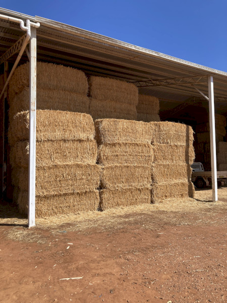 Oat straw tailings