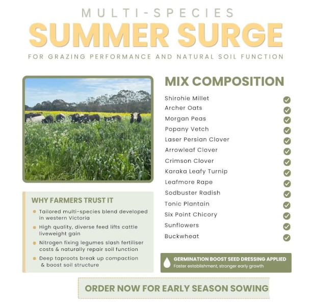 Multi Species Coated Seed Blends for Spring and Summer 