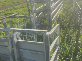 Red River Race and Calf Cradle