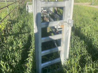 Red River Race and Calf Cradle