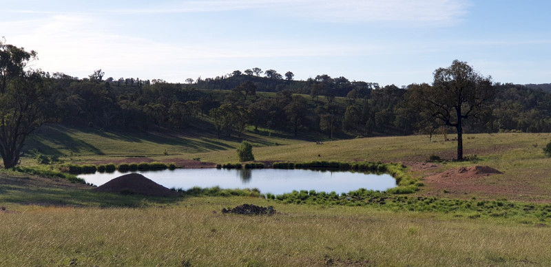Grazing Lease 1180acr Manildra NSW