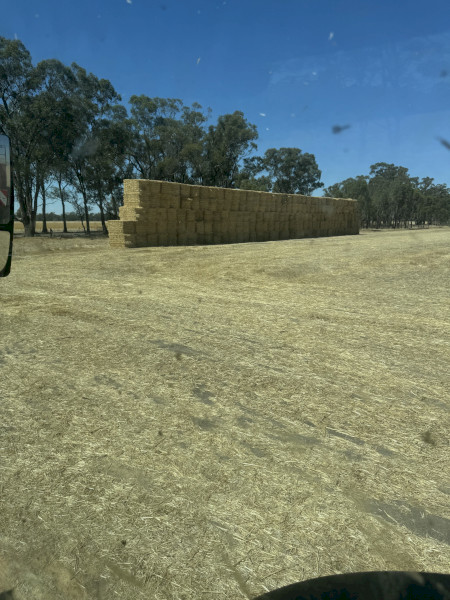 Wheaten straw 
