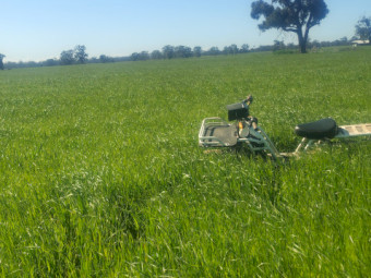 EOI Standing Hay