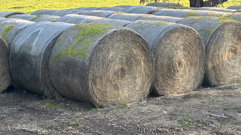 40mt Ryegrass/Phalaris 5x4 Round Bales