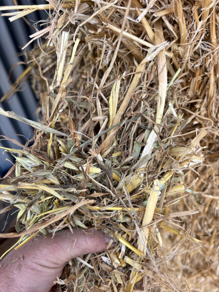 800mt Oaten hay