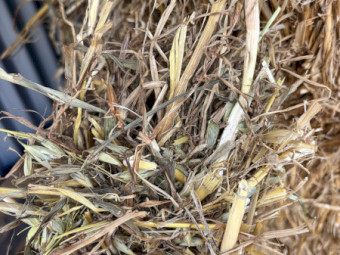 800mt Oaten hay
