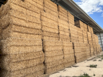 800mt Oaten hay