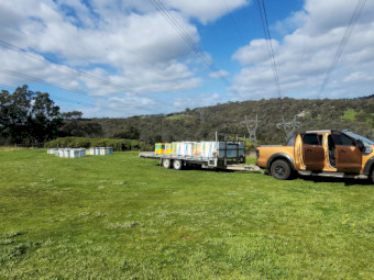 Looking for Farm / Acreage to Host Beehives – VIC