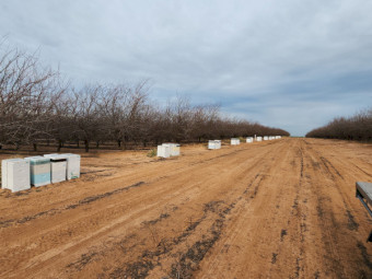 Looking for Farm / Acreage to Host Beehives – VIC
