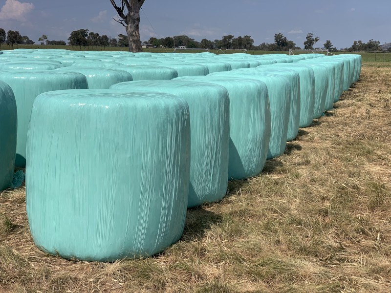 Kraken Forage Barley Silage