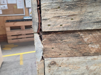 bin/bins/vege/box/wood/fruit/bulk/storage/fire/timber/planter/plant