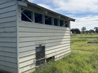 Mobile Poultry Shed