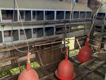 Mobile Poultry Shed