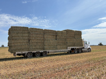 2026 oat hay