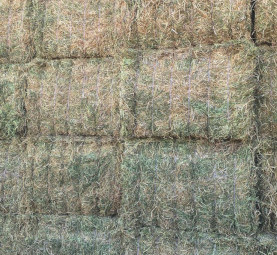 Vetch Hay 710kg 8x4x3 Bales (New Season)