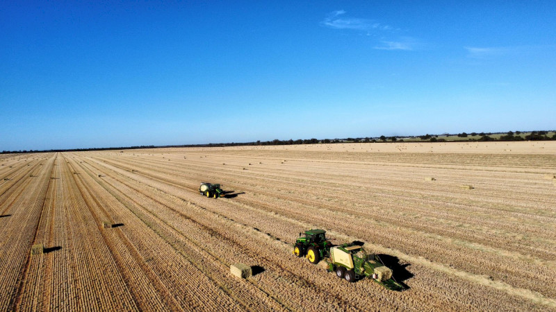 Barley Hay 650kg 8x4x3 Bales (New Season)