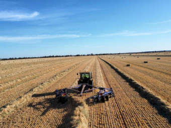 Barley Hay 650kg 8x4x3 Bales (New Season)