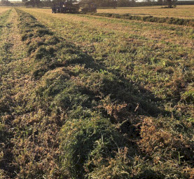 Vetch Hay 710kg 8x4x3 Bales (New Season)