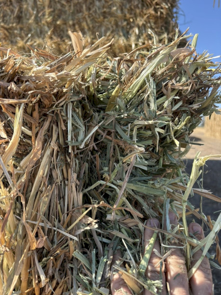 140mt Oaten Hay 630-650kg 8x4x3 Bales