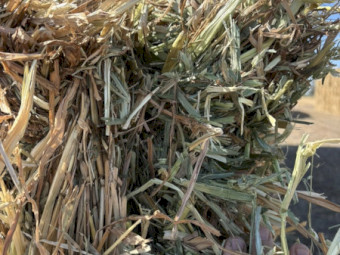 140mt Oaten Hay 630-650kg 8x4x3 Bales