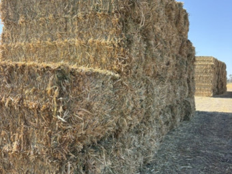 140mt Oaten Hay 630-650kg 8x4x3 Bales