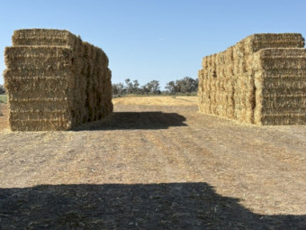 140mt Oaten Hay 630-650kg 8x4x3 Bales