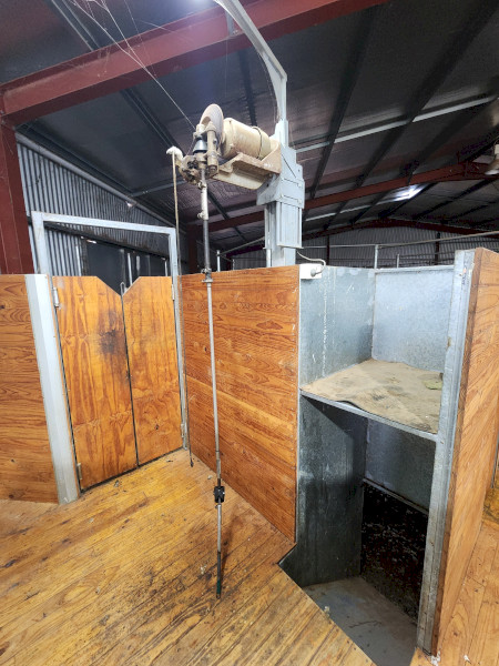 Shearing plant